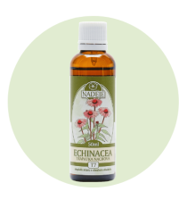 ECHINACEA