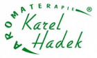 Karel Hadek