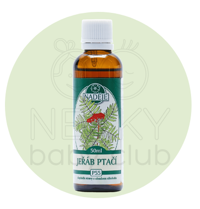 JEŘÁB PTAČÍ - pupeny